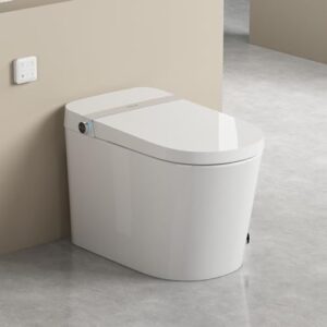 Smart Toilet with Heated Seat